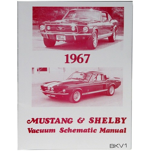 Ford mustang shelby - mustang,